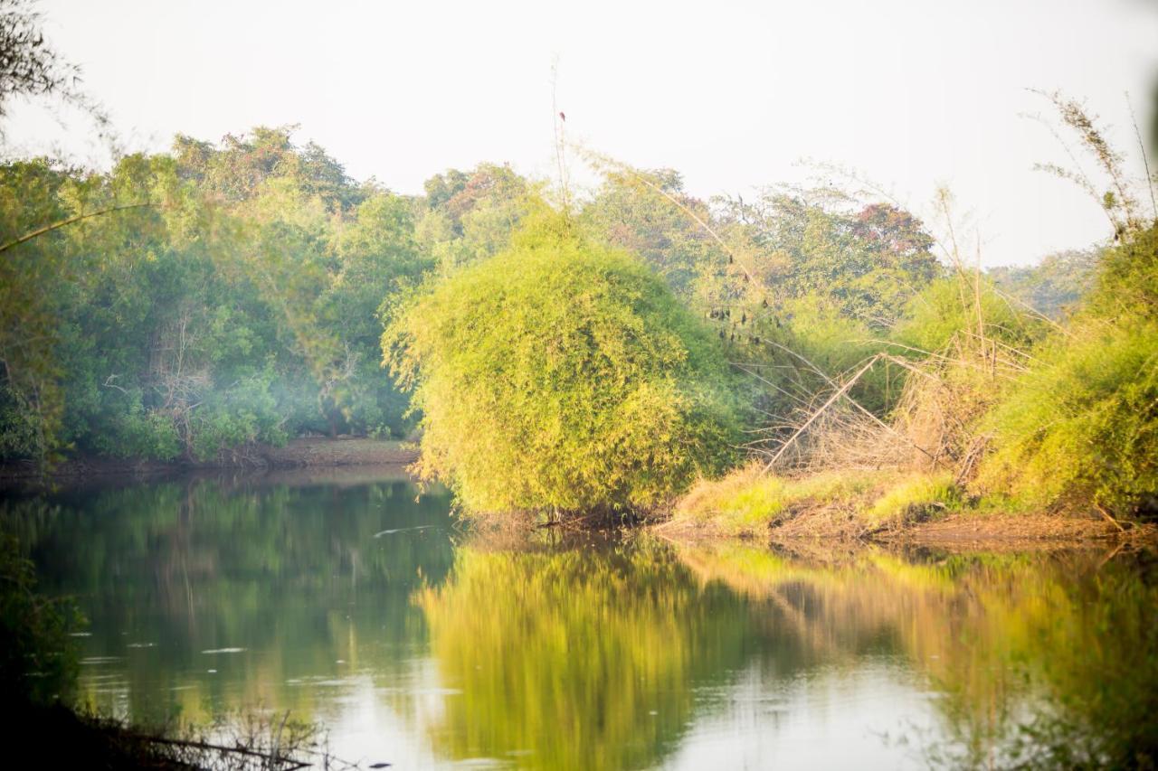 Hotel The Postcard Hideaway, Netravali Wildlife Sanctuary, Goa Vichondrem Exterior foto